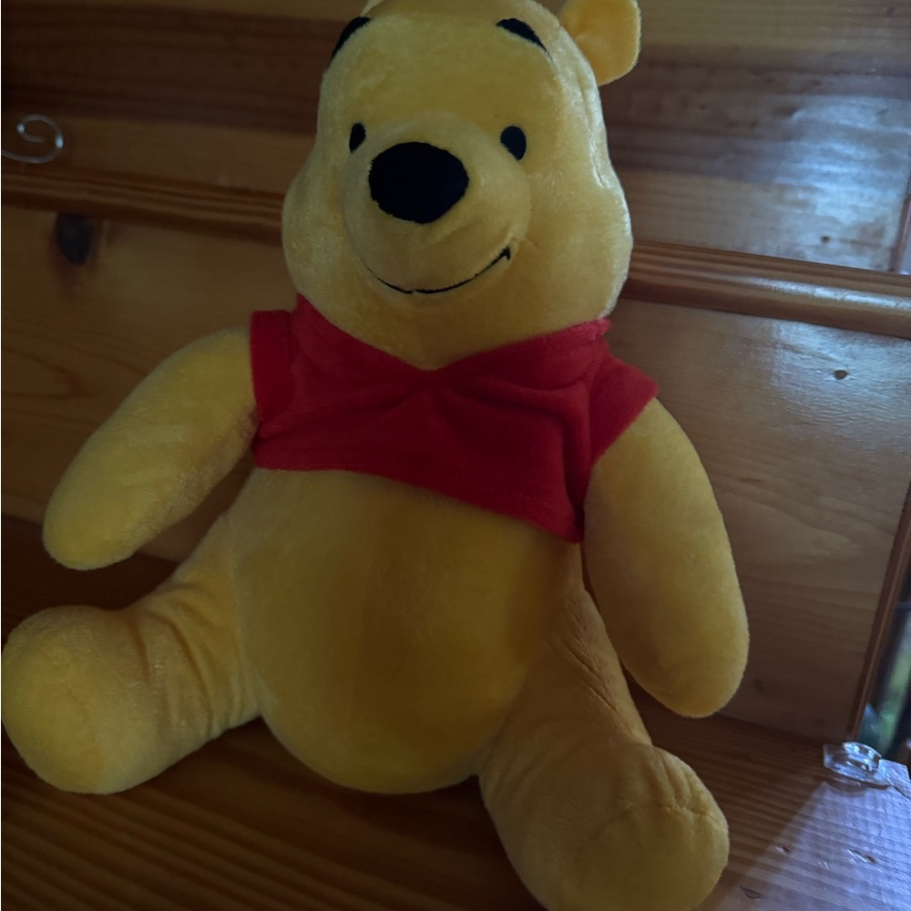 NWOT- Winnie the Pooh by Disney in Perfect Condition. NEW - Picture 6 of 6